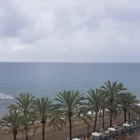 Palm Apartment
