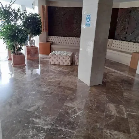 Palm *