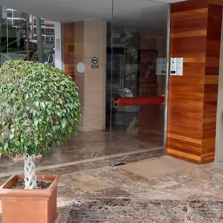 Palm *