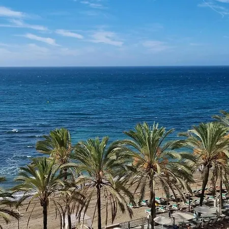 Palm * Marbella