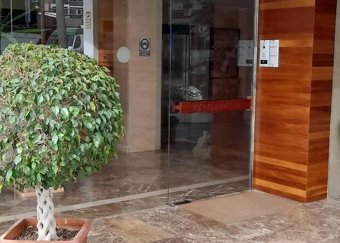 Palm *