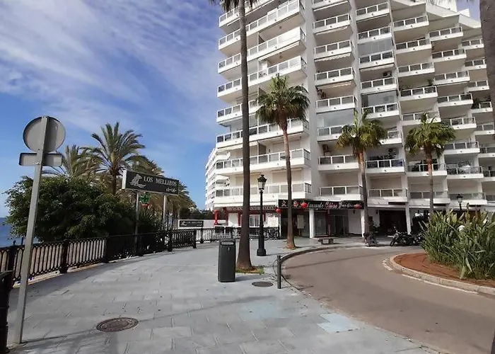 Palm