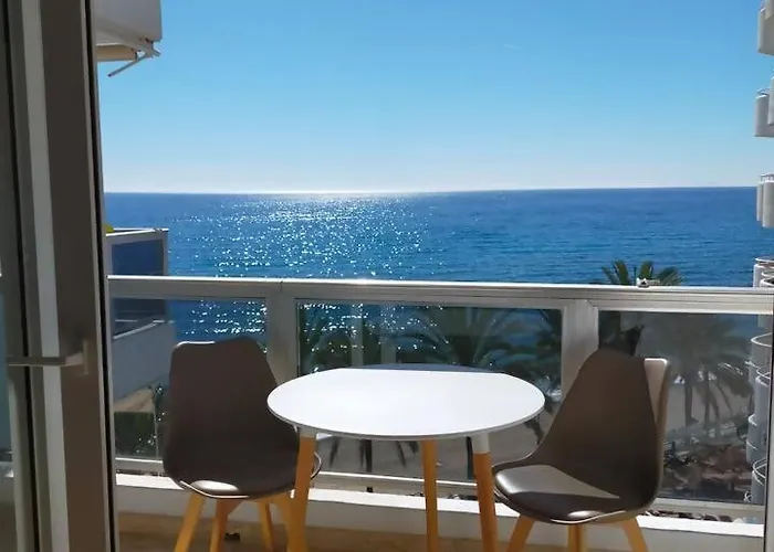 Palm *